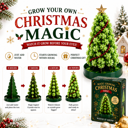 🎄 Magic Growing Christmas Tree ✨- A Little Tree, A Lifetime of Christmas Memories. 🎁
