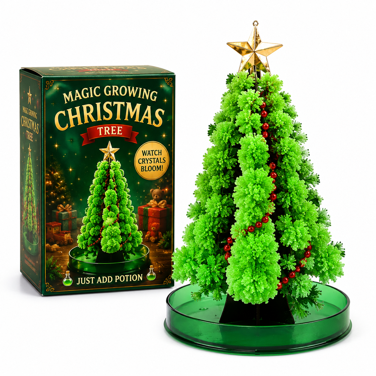 🎄 Magic Growing Christmas Tree ✨- A Little Tree, A Lifetime of Christmas Memories. 🎁