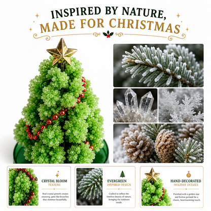 🎄 Magic Growing Christmas Tree ✨- A Little Tree, A Lifetime of Christmas Memories. 🎁